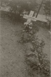 Graf Gajewnik na herbegraven c.