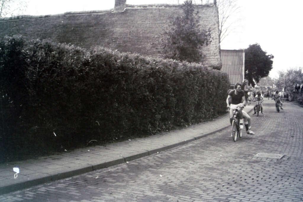 My beautiful picture