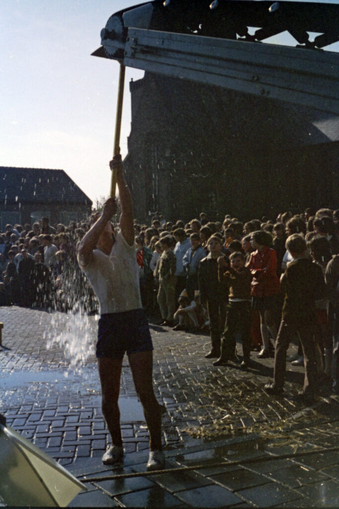 My beautiful picture