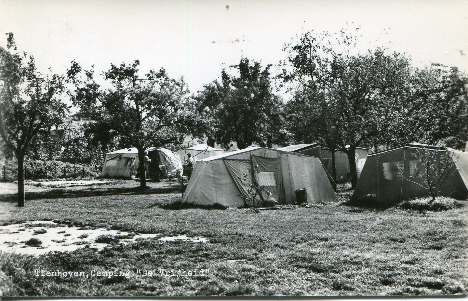 Camping De Vrijheid Tienhoven004